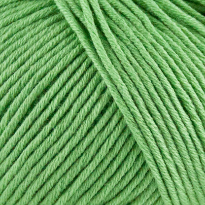 Onion Organic cotton